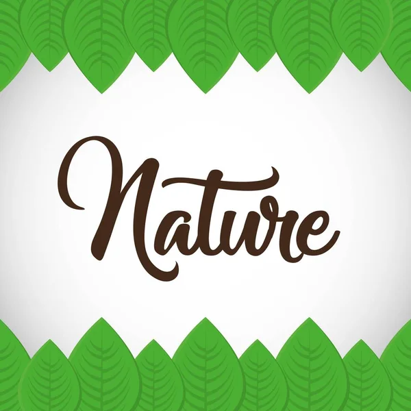 Nature and leaves design — Stock Vector