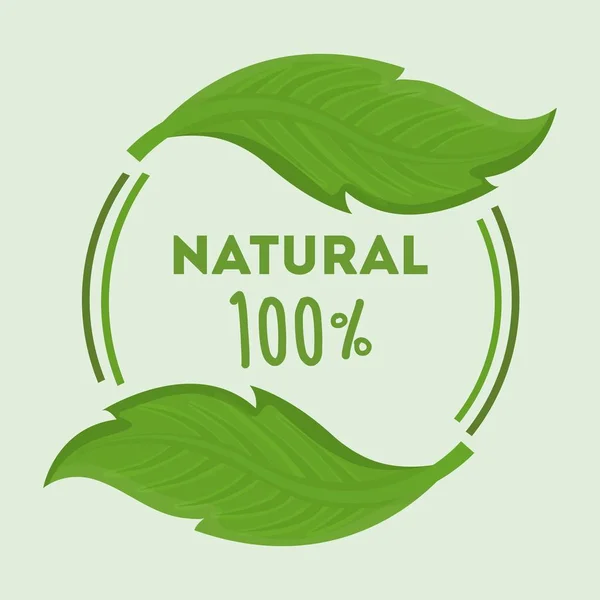 自然と葉のデザイン — ストックベクタ