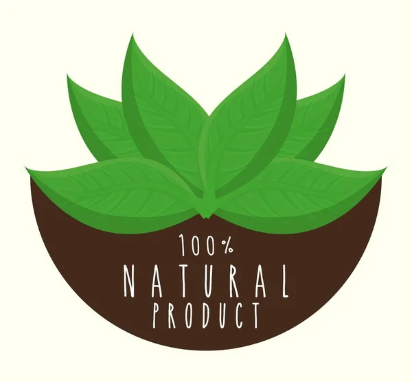 Nature et feuilles icône — Image vectorielle