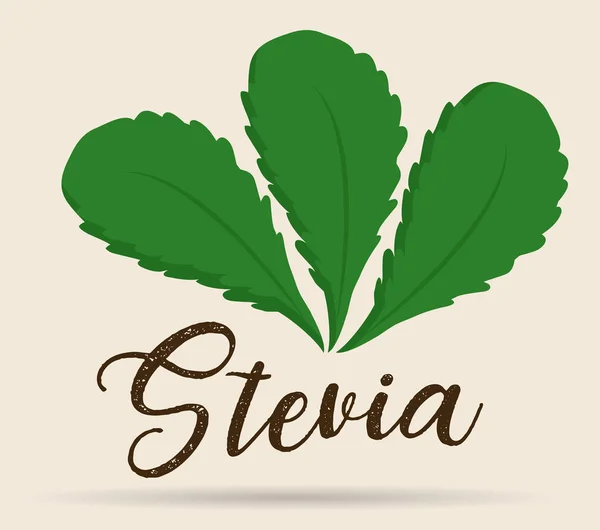 Stevia konceptdesign — Stock vektor