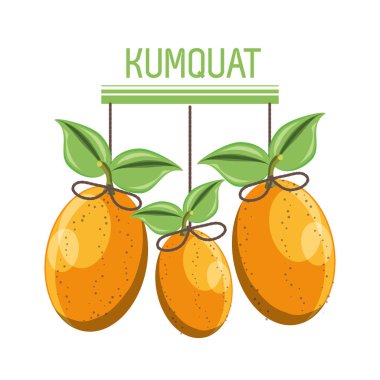 Sitrik meyve tasarım 