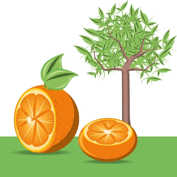 Návrh citronovou ovoce — Stockový vektor