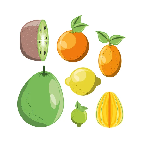 Diseño de frutas cítricas — Vector de stock
