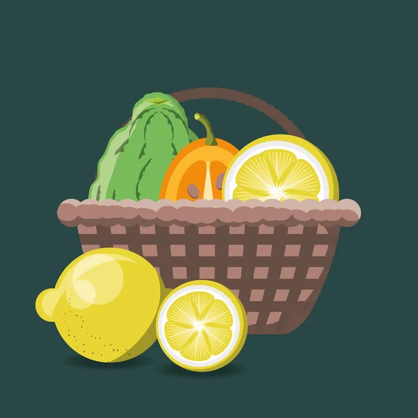 Diseño de frutas cítricas — Vector de stock