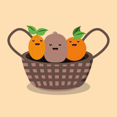 Sitrik meyve tasarım