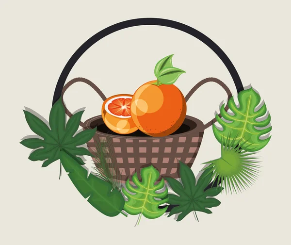 Лимонные фрукты — стоковый вектор