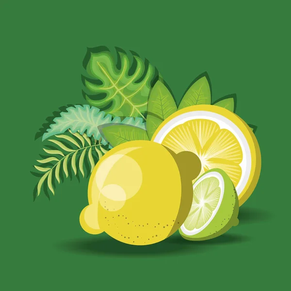 Citronsyra frukter design — Stock vektor