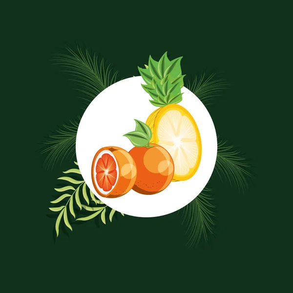 柠檬酸水果设计 — 图库矢量图片