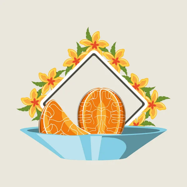 Citric fruits design — Stock Vector