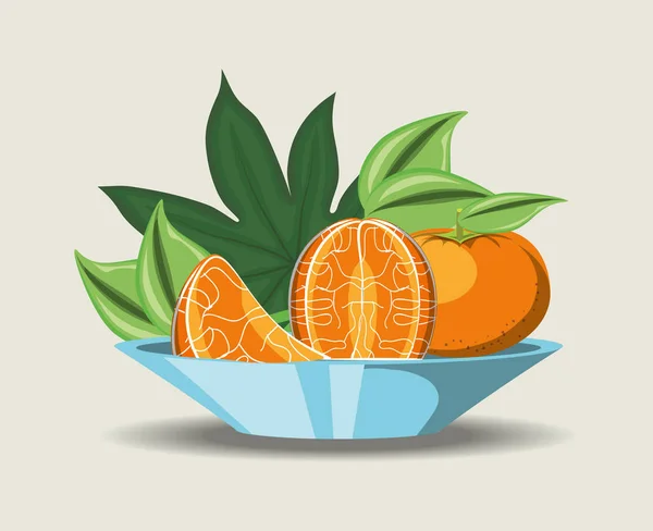 Conception de fruits citriques — Image vectorielle