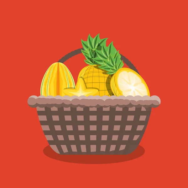 Diseño de frutas cítricas — Vector de stock