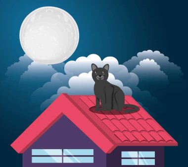 Kedi çatıda Ayın ışığı altında