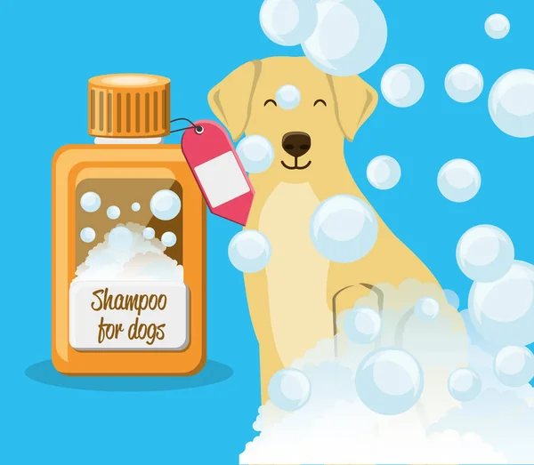 Собака с бутылкой шампуня — стоковый вектор