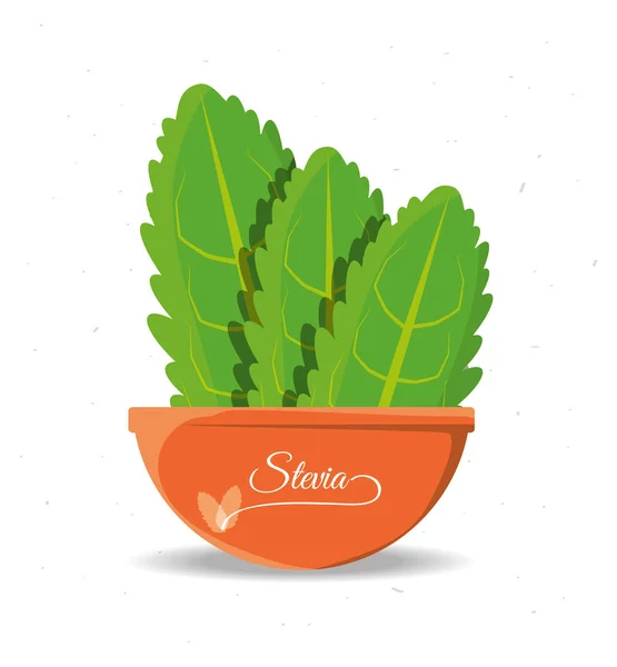 Stevia edulcorante natural planta y producto ecológico — Vector de stock