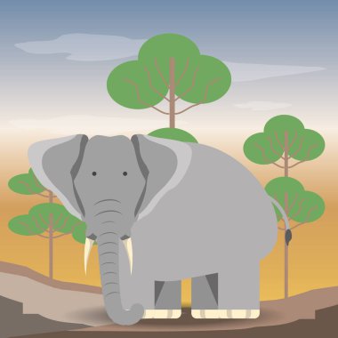 vahşi hayvanlar tasarım