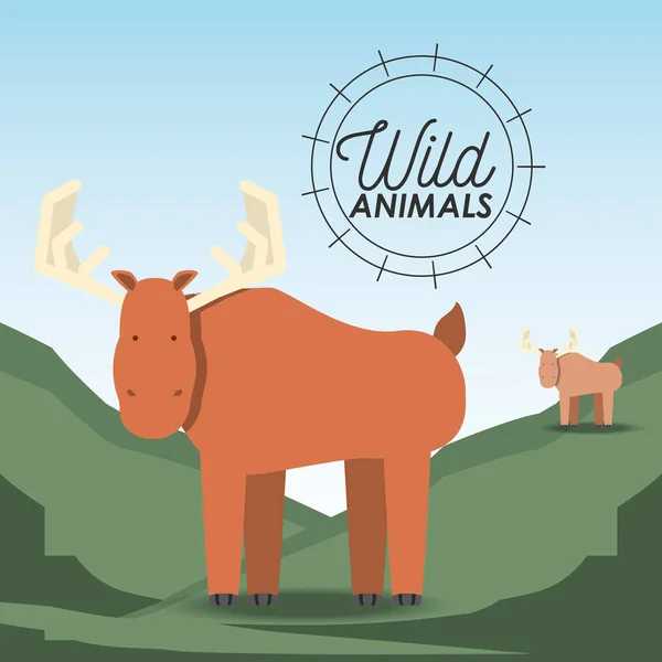 Wildtierdesign — Stockvektor