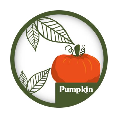 Kabak sebze taze sağlıklı etiket