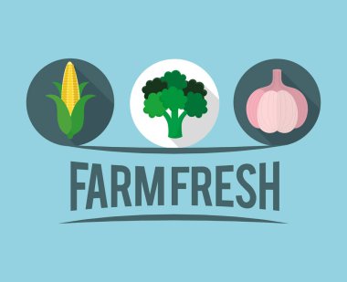 çiftlik taze sebze liifestyle sağlıklı etiket