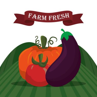 çiftlik taze sebze liifestyle sağlıklı etiket