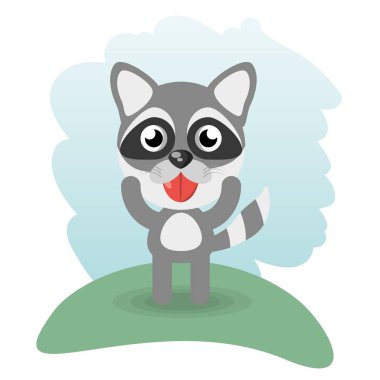 şirin Rakun hayvan yaban hayatı