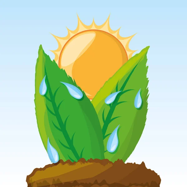 Proceso de fotosíntesis en las plantas — Vector de stock