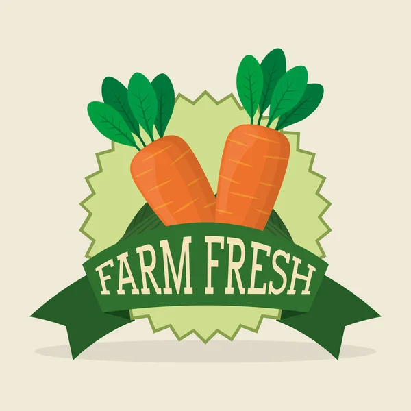 Çiftlik taze sebze liifestyle sağlıklı etiket — Stok Vektör