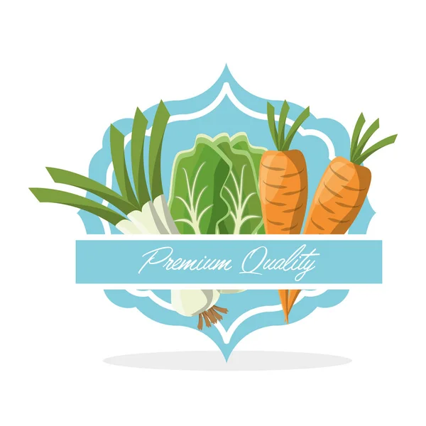 蔬菜优质食品 — 图库矢量图片