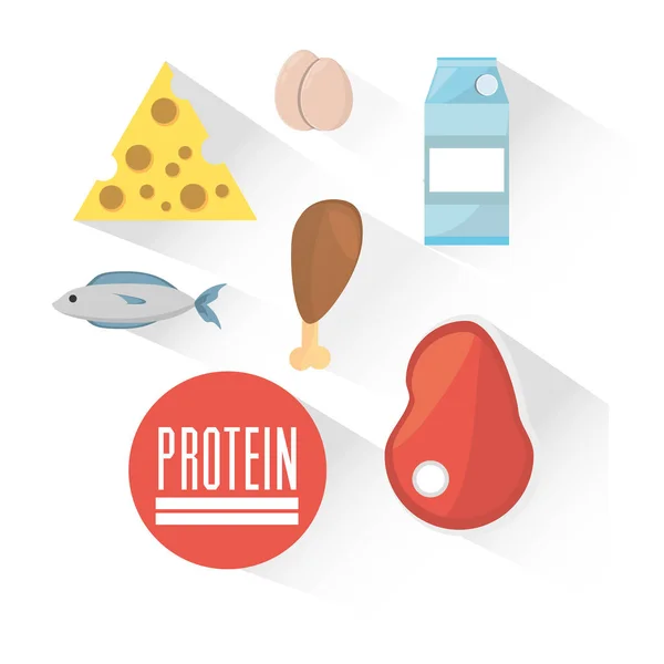 Protein ürün madde gıda — Stok Vektör