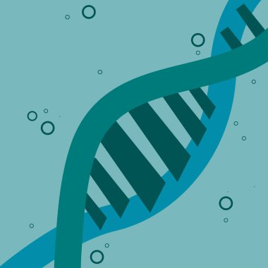 DNA molecula tasarım