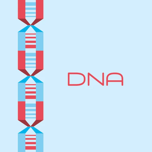 DNA molecula tasarım — Stok Vektör