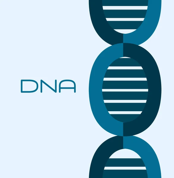 Conception de molécule d'ADN — Image vectorielle