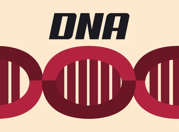ДНК molecula дизайн — стоковий вектор