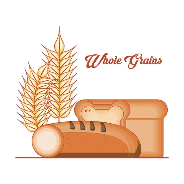 Whole grains products food — Stock Vector