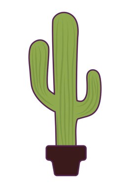 Saksı bitkisindeki kaktüs izole edilmiş ikon