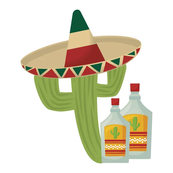 Kaktusz sapkával mexikói és üveg tequila — Stock Vector