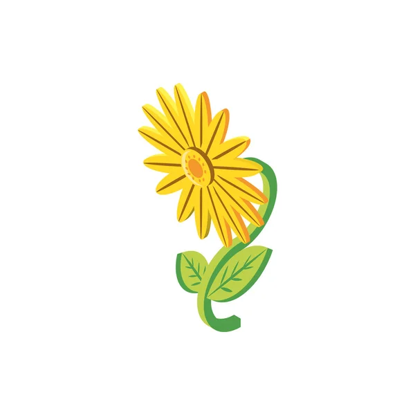 Hermoso girasol sobre fondo blanco — Vector de stock