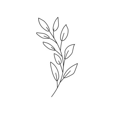 Beyaz arkaplanda yaprak olan dal