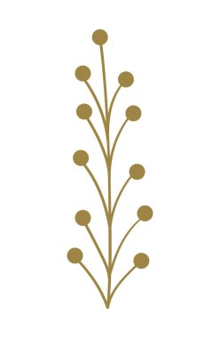 Beyaz arkaplanda yaprak olan dal