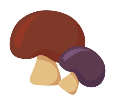 Beyaz arkaplanda şampiyon kahverengi