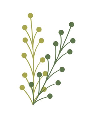 Beyaz arkaplanda yaprak olan dal