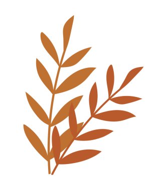 Beyaz arkaplanda yaprak olan dal