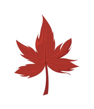 Beyaz arkaplanda güzel bir sonbahar yaprağı