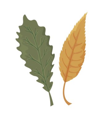 Beyaz arkaplanda güzel sonbahar yaprakları