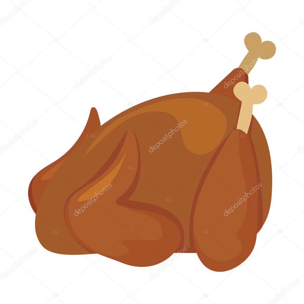 turkey roasted on white background