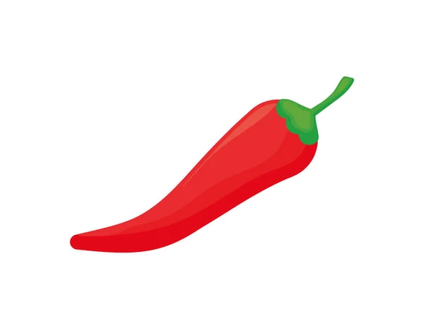 Pimientos mexicanos en fondo blanco — Vector de stock