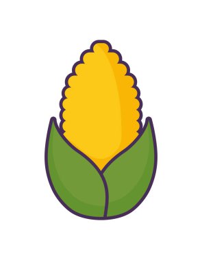 Beyaz arkaplanda tatlı mısır