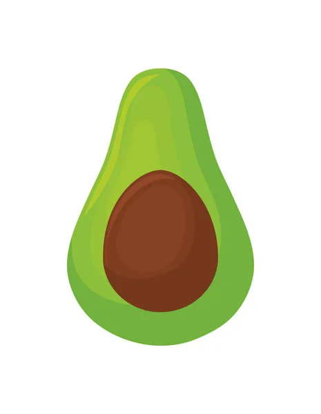 Свіжий авокадо здоровий на білому тлі — стоковий вектор
