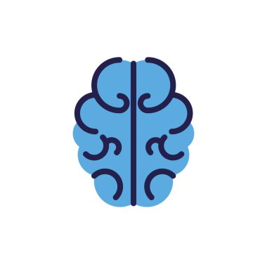 Beyaz arka planda insan beyninin ana hatları