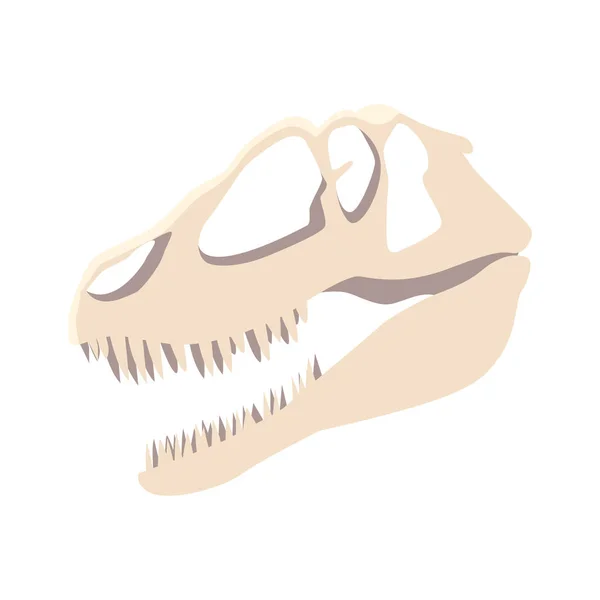 Cráneo de dinosaurio sobre fondo blanco — Vector de stock