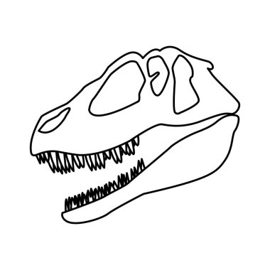 Beyaz arkaplanda dinozor kafatası